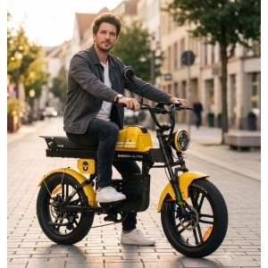 Elektrikli Motor Söke